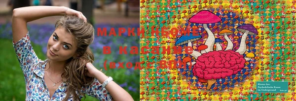 МДПВ Болотное