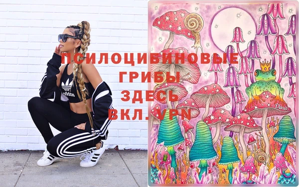винт Алзамай