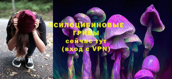 apvp Алексеевка