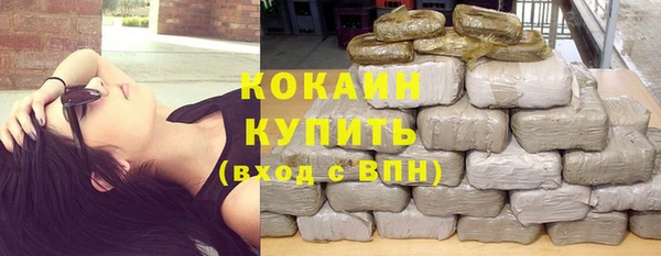 винт Алзамай